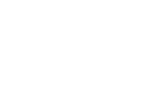 Official GoldieBlox Store